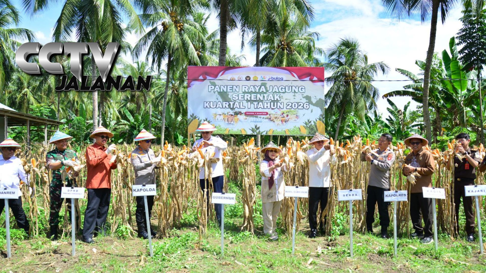 Gorontalo Targetkan Produksi Jagung 1,5 Juta Ton di 2026