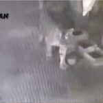 Harimau Sumatera Masuk Permukiman Siak, Mangsa Ternak Warga