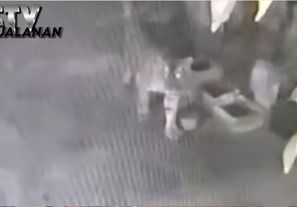 Harimau Sumatera Masuk Permukiman Siak, Mangsa Ternak Warga