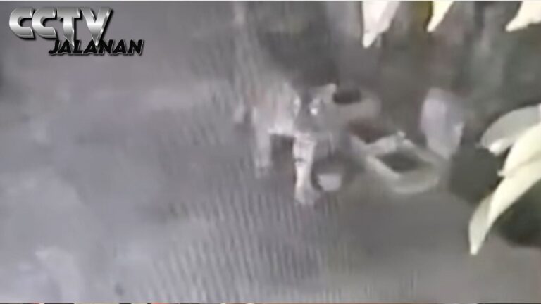 Harimau Sumatera Masuk Permukiman Siak, Mangsa Ternak Warga